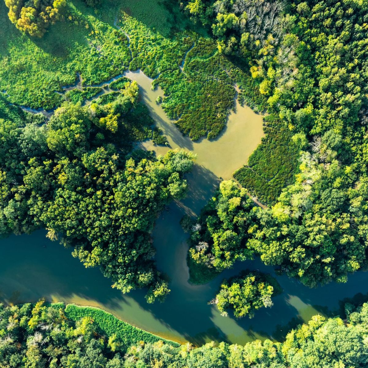 Complex Adaptive Integrity is the New Bottom&nbsp;Line