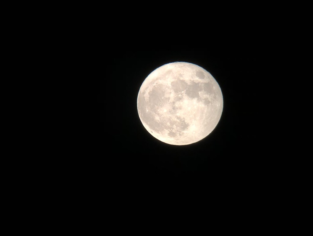 To the Moon