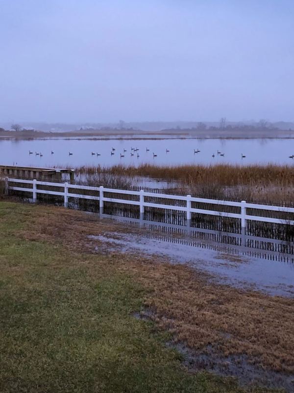 Assessing the balance of hidden costs &&nbsp;co-benefits